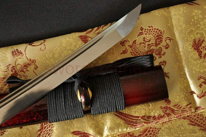 AISI 1060 Steel Full Tang Blade Dragon&Snake Tsuba Katana Sword #205
